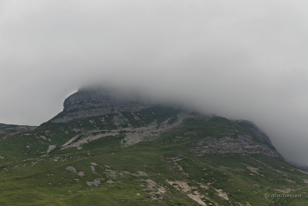 20130803_298